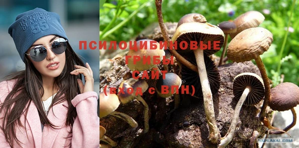 мяу мяу мука Осинники