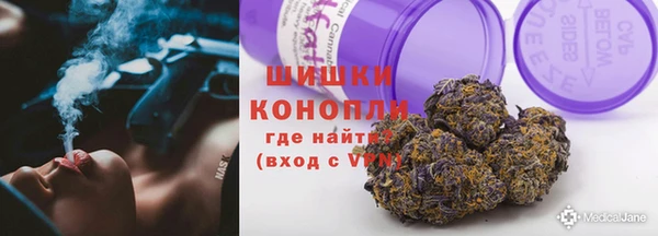 мдпв Осташков