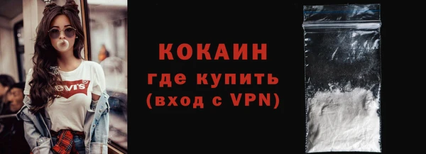 мдпв Осташков