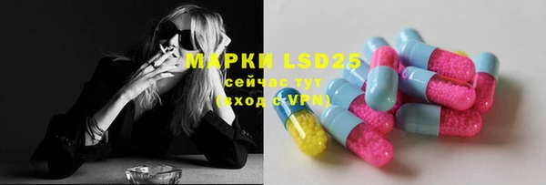 мдпв Осташков