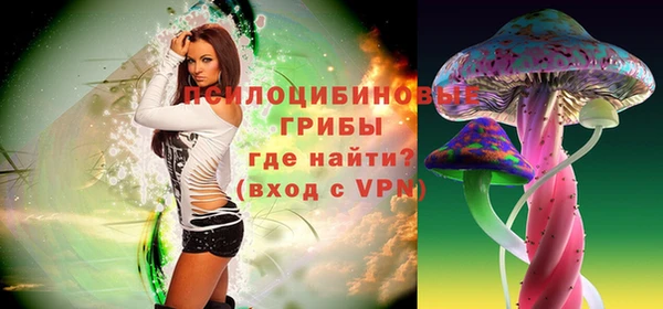 мдпв Осташков
