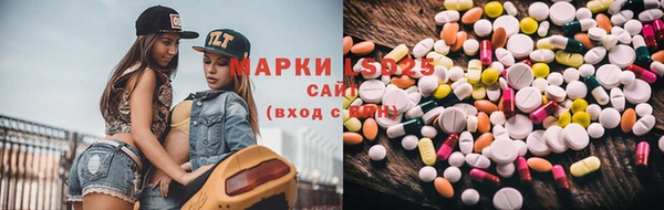 мдпв Осташков