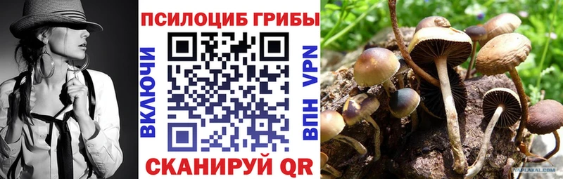 Галлюциногенные грибы Psilocybine cubensis Югорск